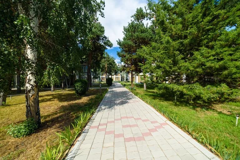 Акун 11