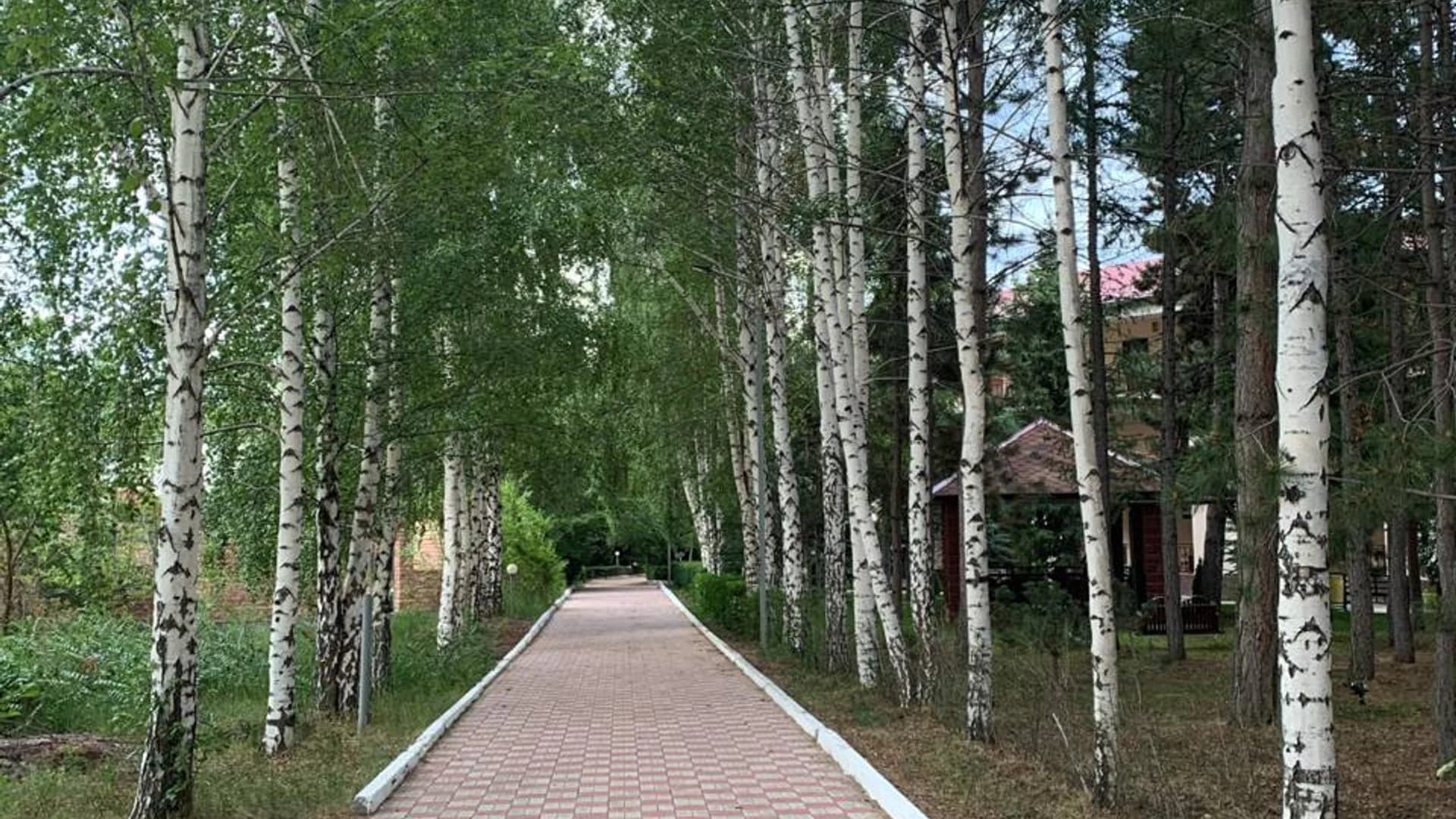 Дельфин мурок 3
